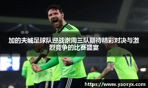 加的夫城足球队迎战谢周三队期待精彩对决与激烈竞争的比赛盛宴